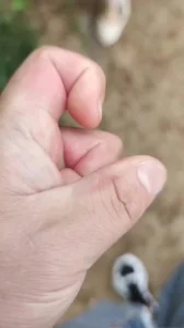 申精！